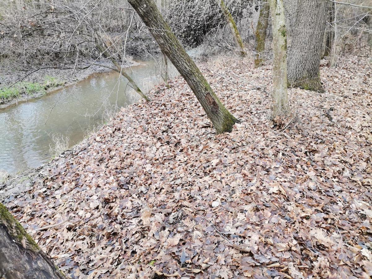 Apartmán Okerka Vendeghaz Csesztreg Exteriér fotografie